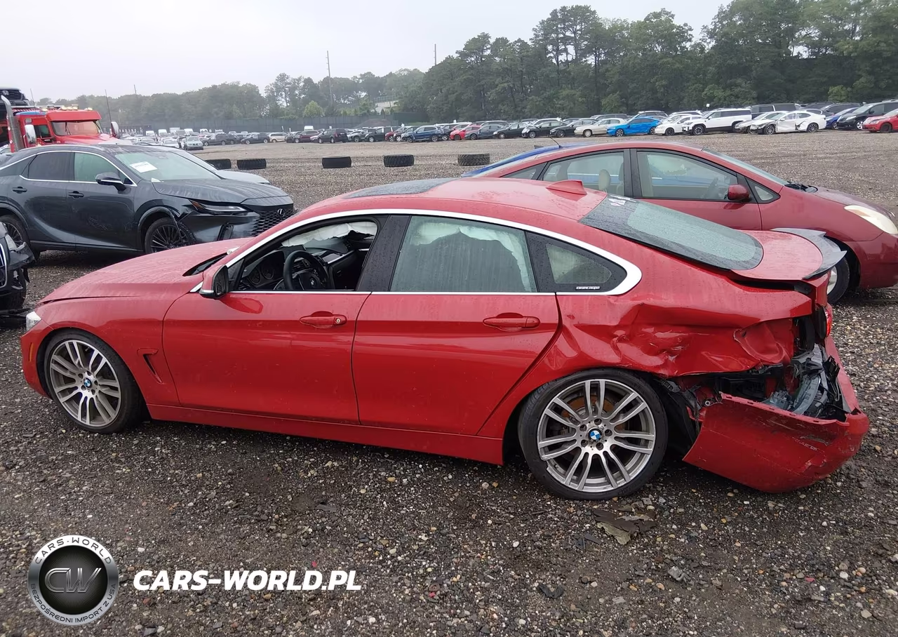 2016 BMW 428I Gran Coupe VIN:WBA4A9C53GGL89421 - 14