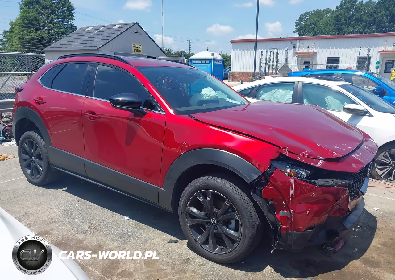 2025 Mazda Cx-30 2.5 Turbo Premium Package VIN:3MVDMBDY2SM816921 - 13