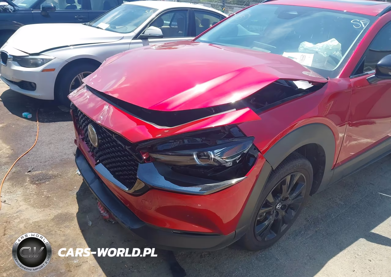 2025 Mazda Cx-30 2.5 Turbo Premium Package VIN:3MVDMBDY2SM816921 - 6