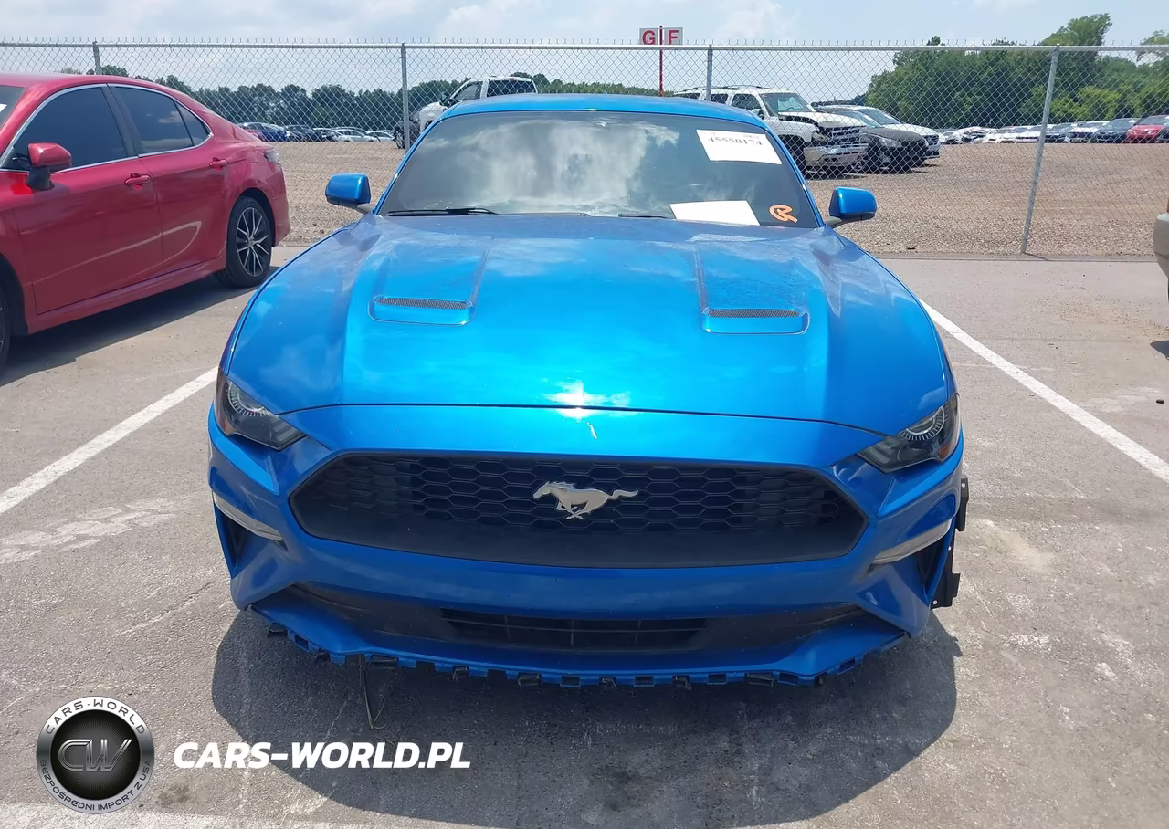 2020 Ford Mustang Ecoboost Fastback VIN:1FA6P8TH5L5170874 - 12