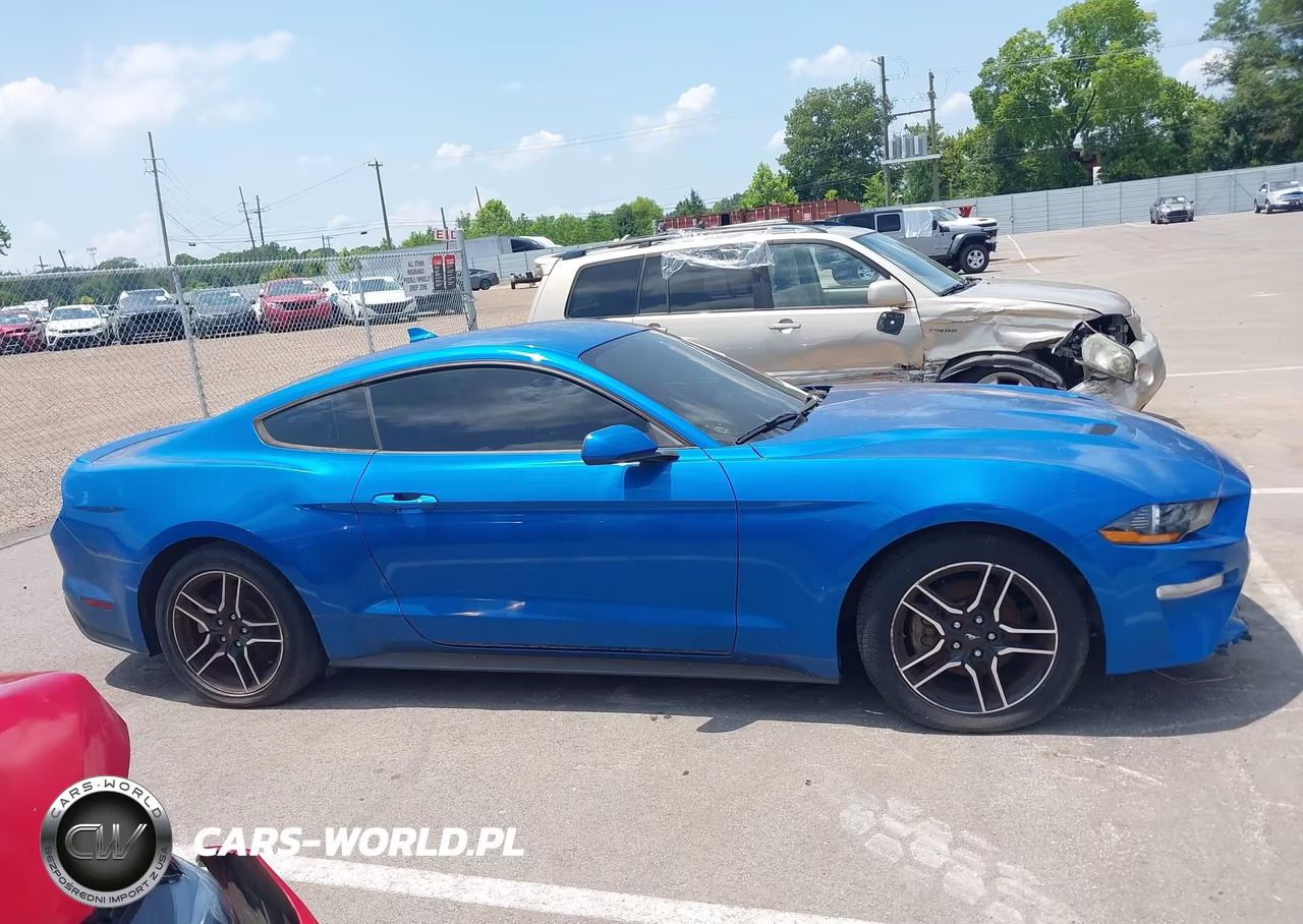 2020 Ford Mustang Ecoboost Fastback VIN:1FA6P8TH5L5170874 - 13