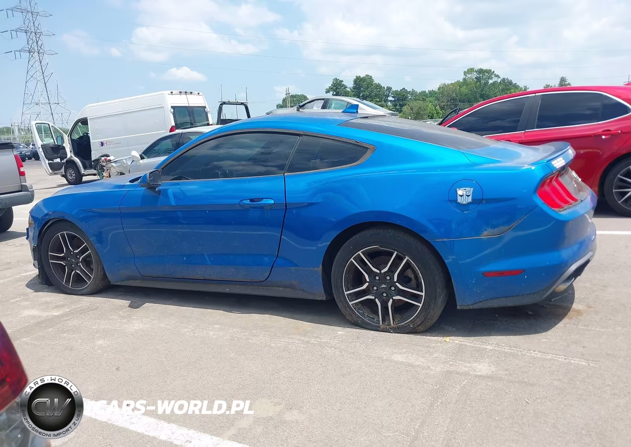 2020 Ford Mustang Ecoboost Fastback VIN:1FA6P8TH5L5170874 - 14