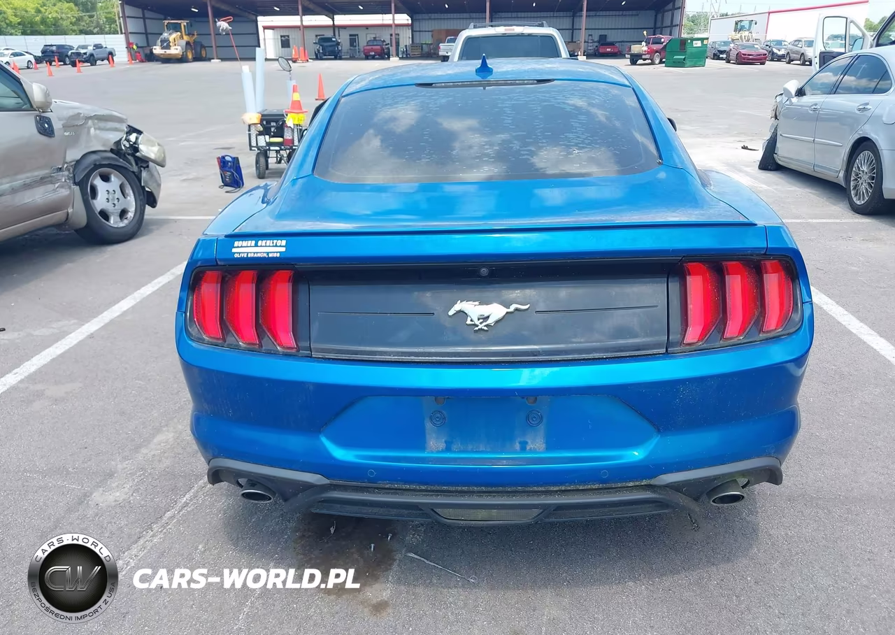 2020 Ford Mustang Ecoboost Fastback VIN:1FA6P8TH5L5170874 - 16