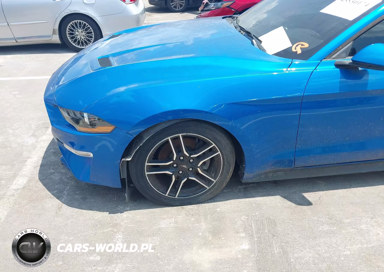 2020 Ford Mustang Ecoboost Fastback VIN:1FA6P8TH5L5170874 - 17