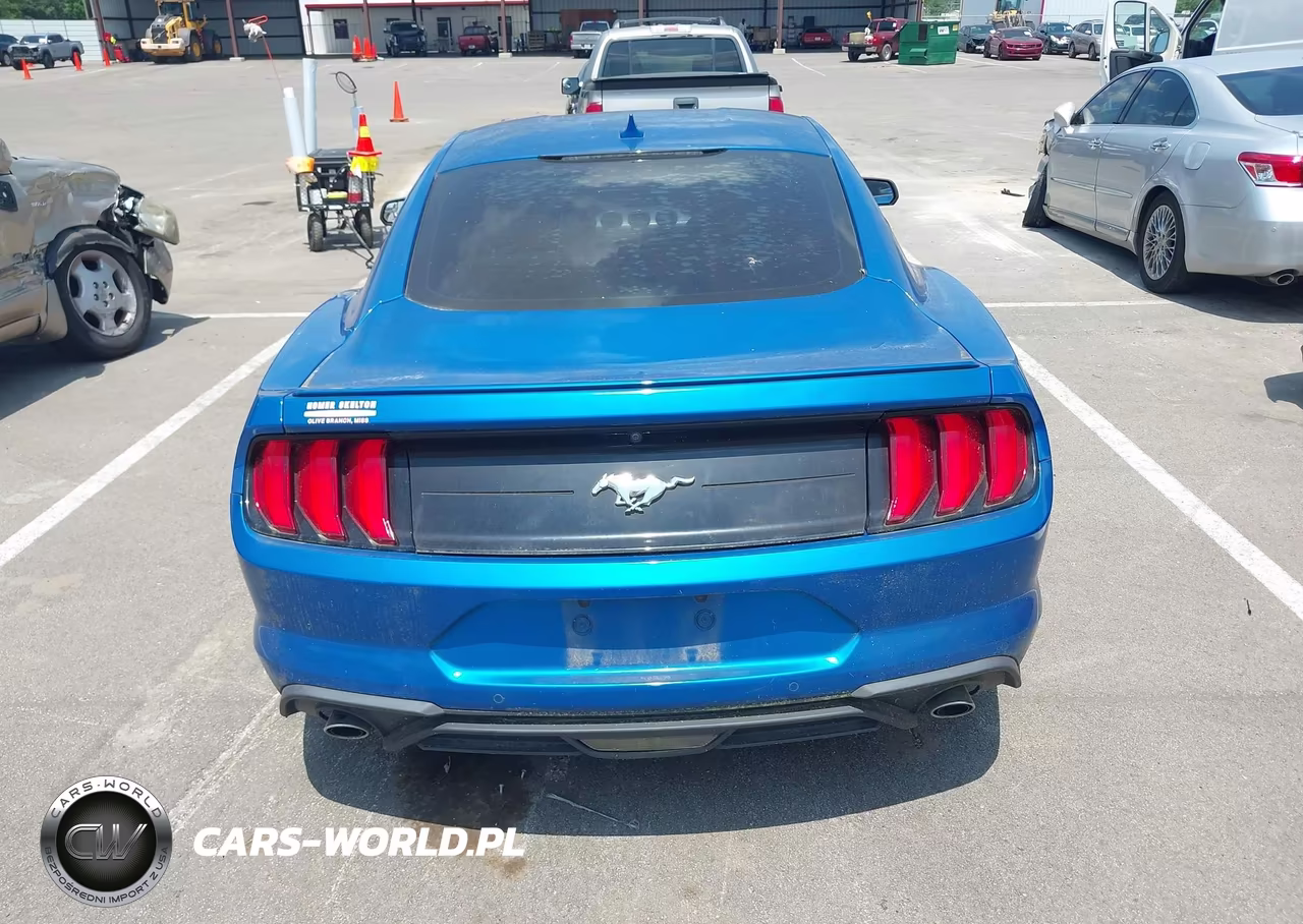 2020 Ford Mustang Ecoboost Fastback VIN:1FA6P8TH5L5170874 - 19