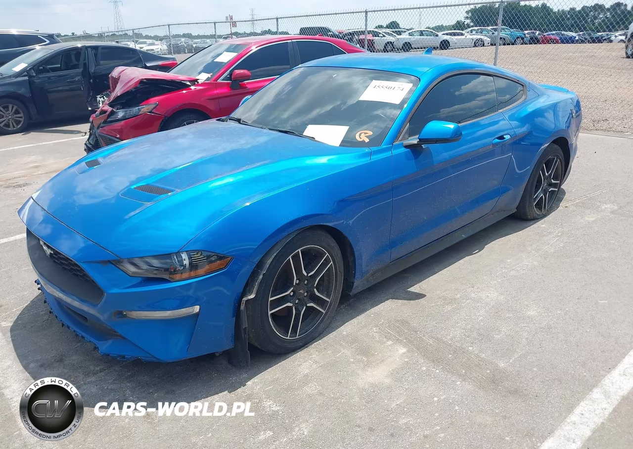 2020 Ford Mustang Ecoboost Fastback VIN:1FA6P8TH5L5170874 - 2
