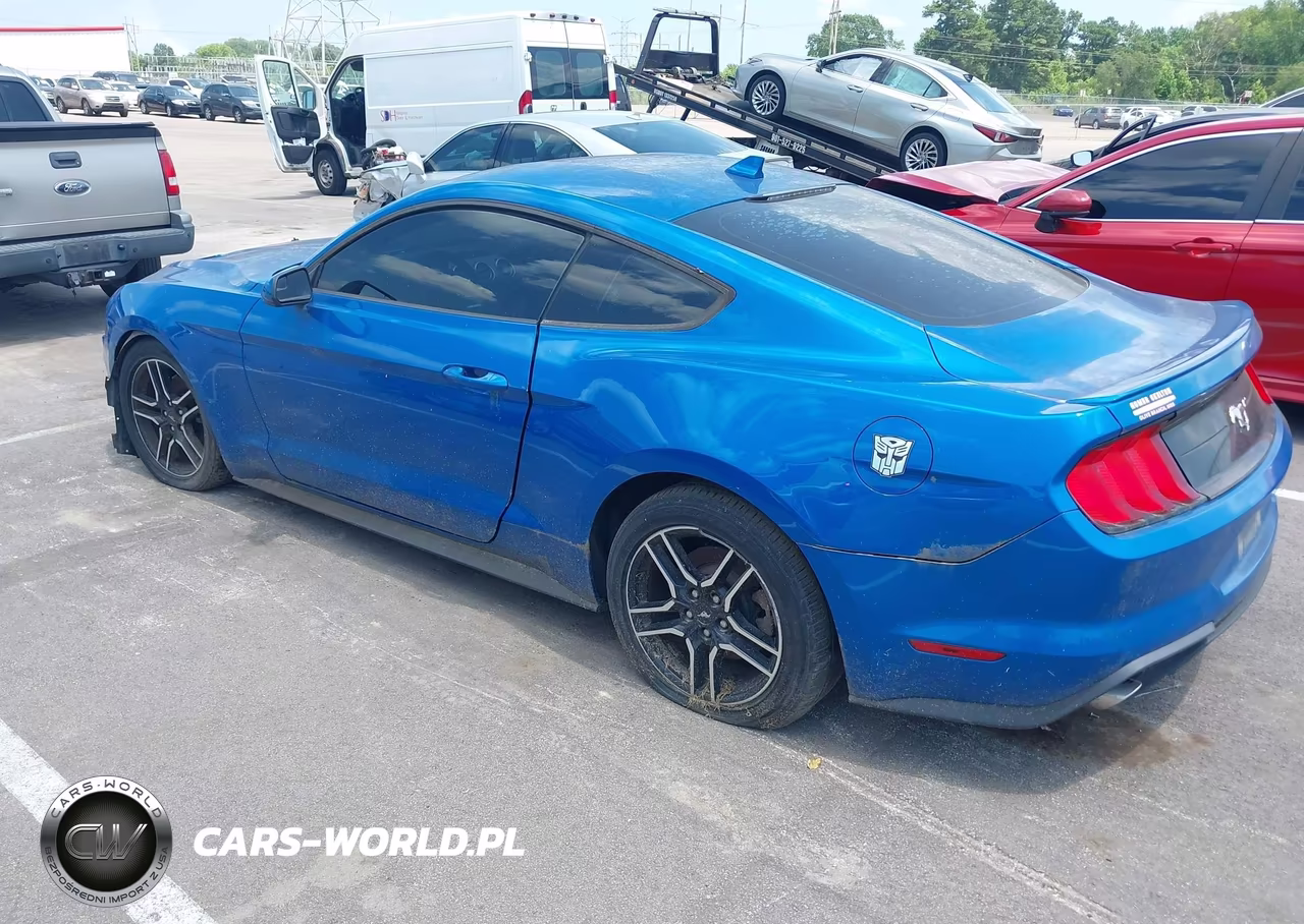 2020 Ford Mustang Ecoboost Fastback VIN:1FA6P8TH5L5170874 - 3