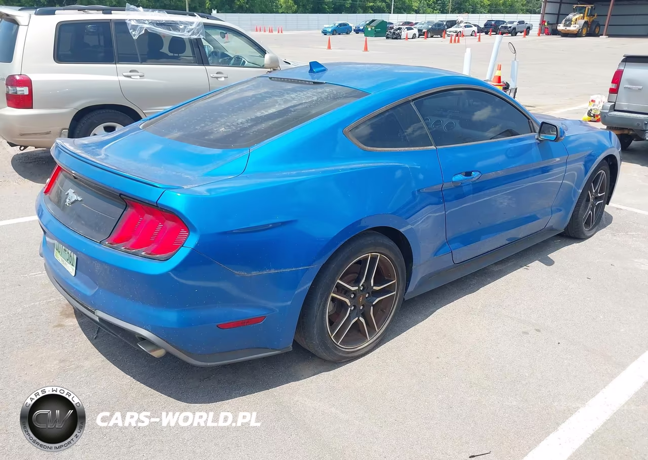 2020 Ford Mustang Ecoboost Fastback VIN:1FA6P8TH5L5170874 - 4