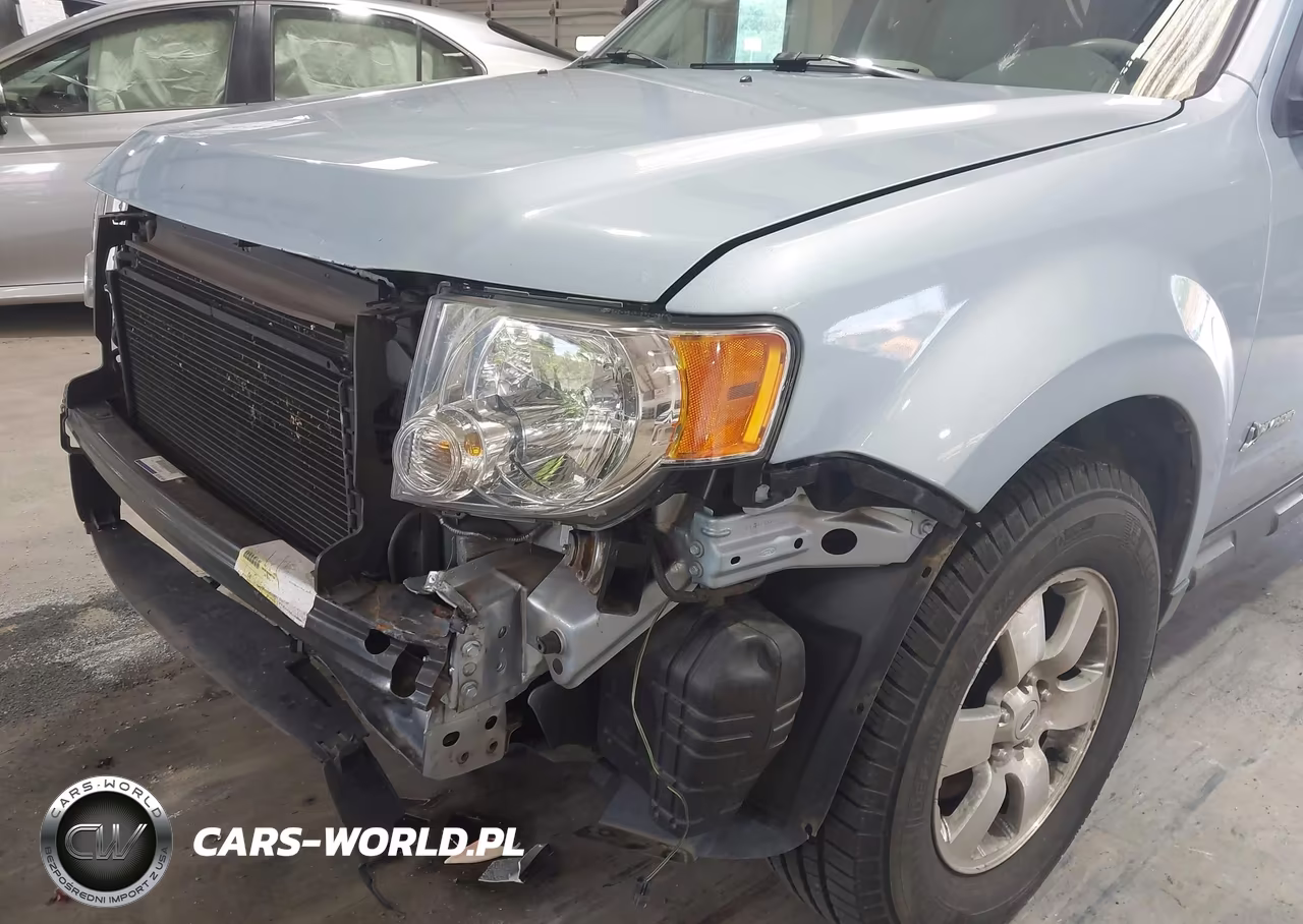 2009 Ford Escape Hybrid Limited VIN:1FMCU59339KA24902 - 6