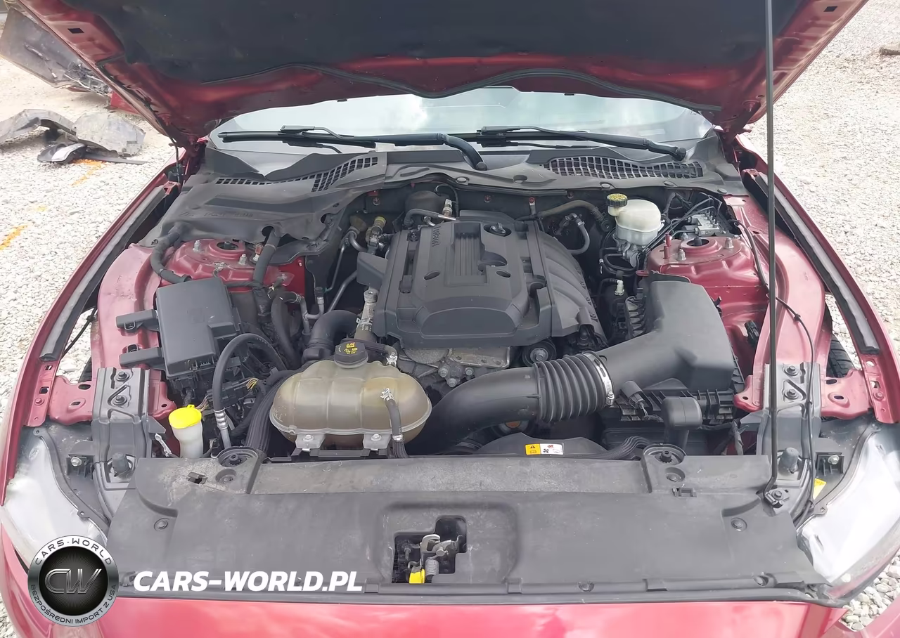 2016 Ford Mustang Ecoboost VIN:1FA6P8TH6G5241537 - 10