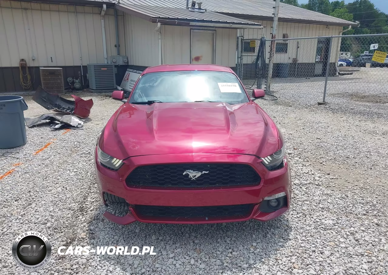 2016 Ford Mustang Ecoboost VIN:1FA6P8TH6G5241537 - 13