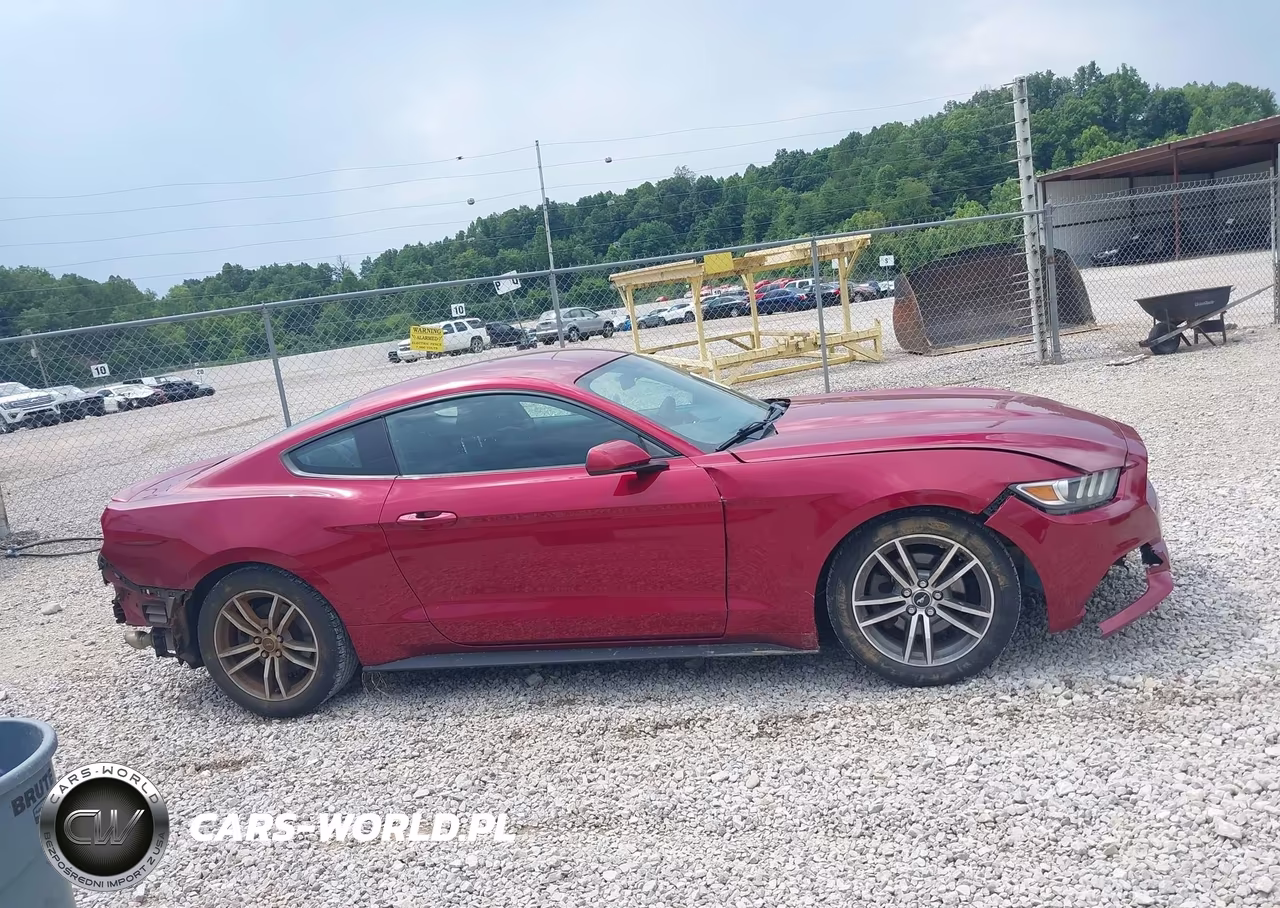 2016 Ford Mustang Ecoboost VIN:1FA6P8TH6G5241537 - 14