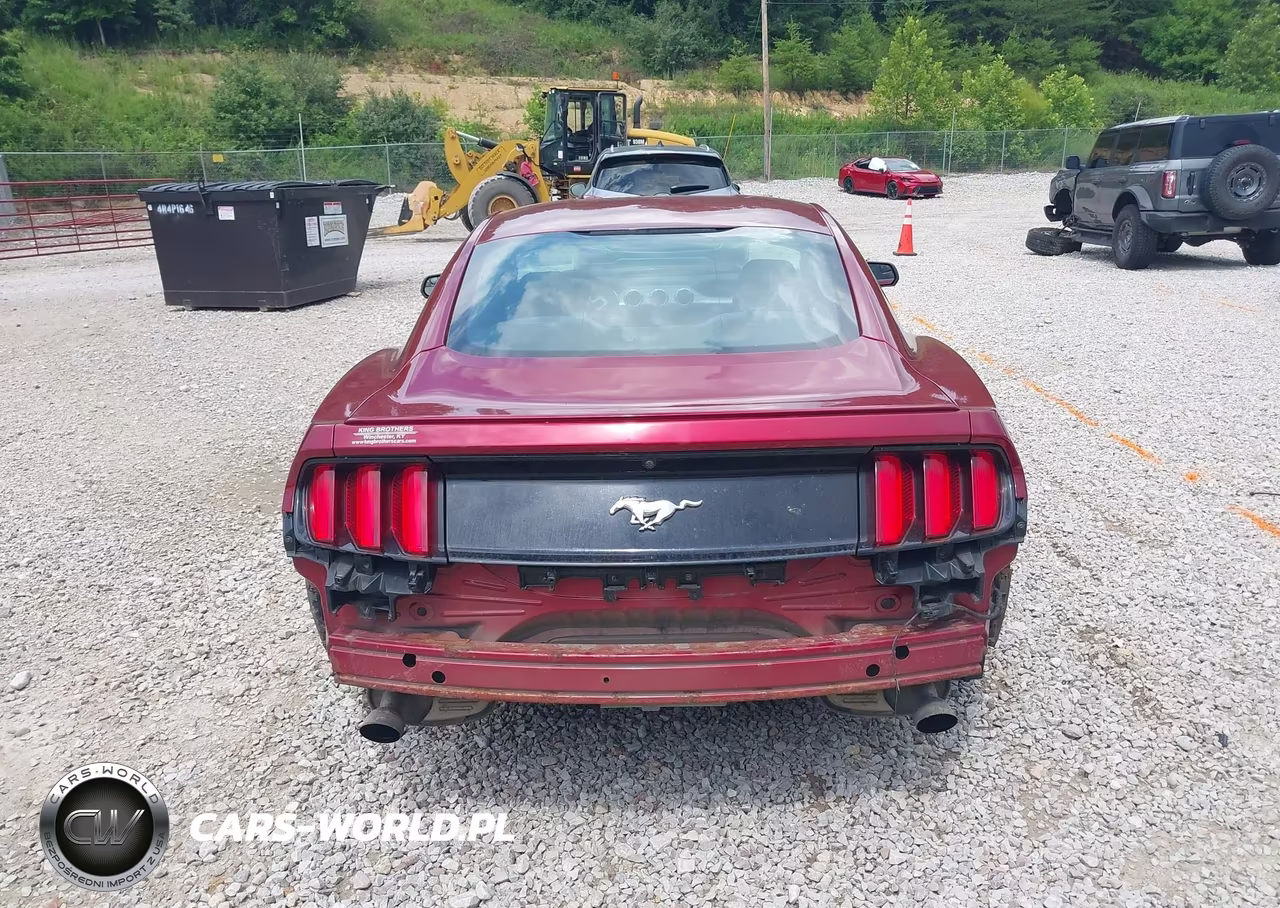 2016 Ford Mustang Ecoboost VIN:1FA6P8TH6G5241537 - 17