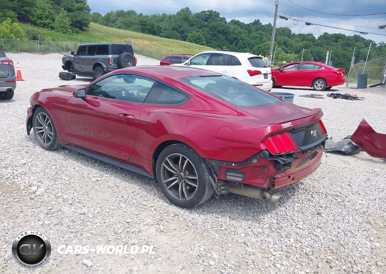 2016 Ford Mustang Ecoboost VIN:1FA6P8TH6G5241537 - 3
