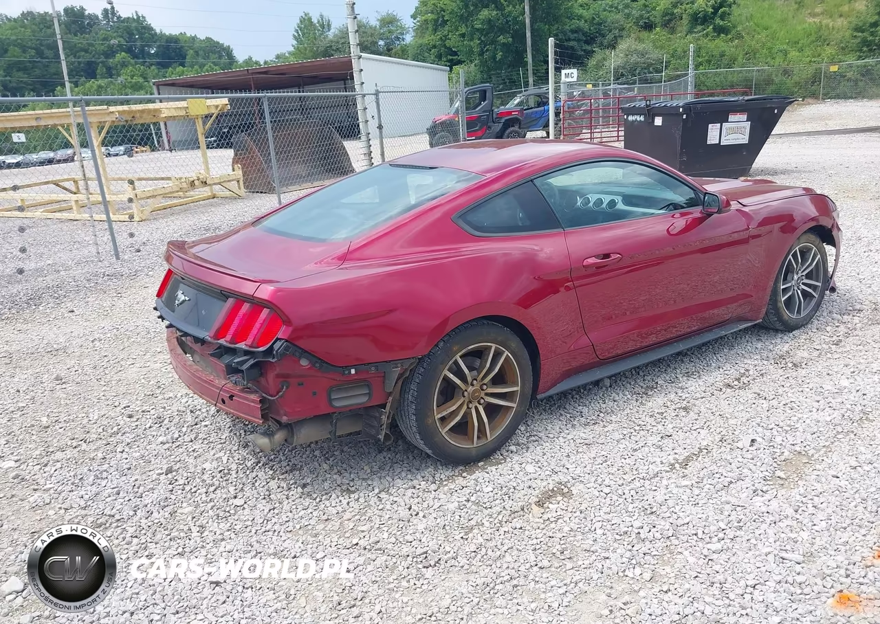 2016 Ford Mustang Ecoboost VIN:1FA6P8TH6G5241537 - 4