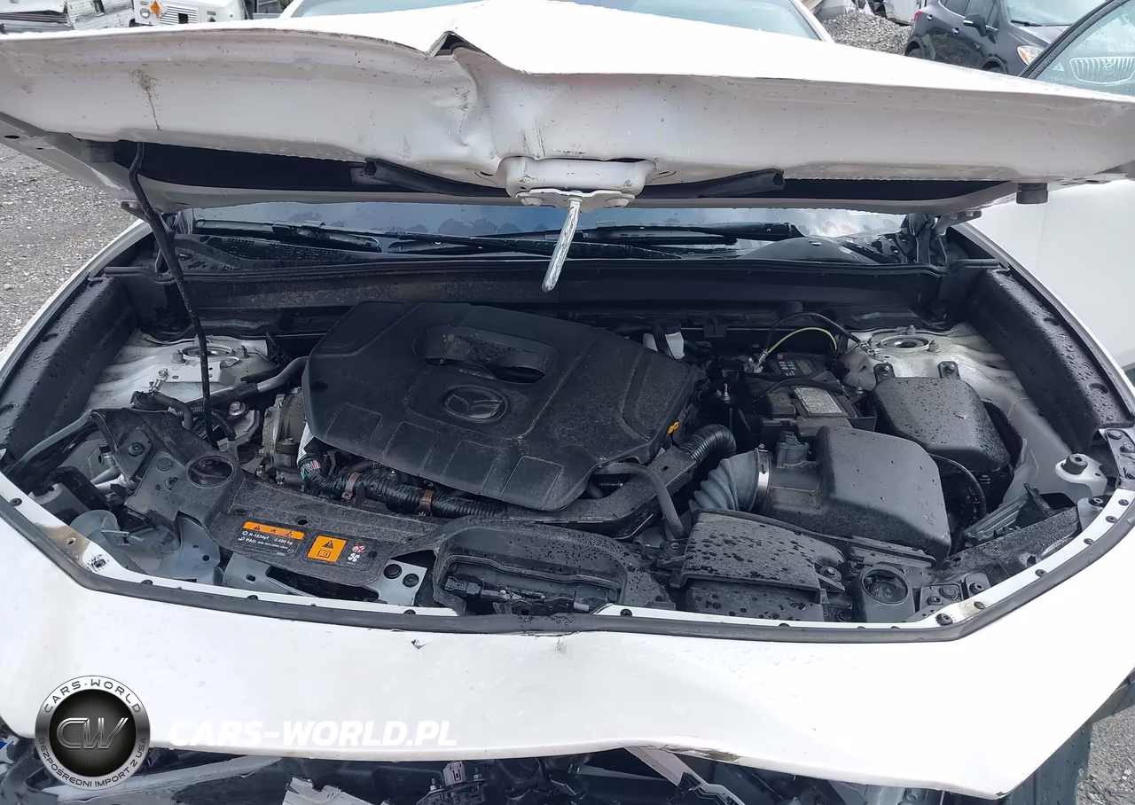 2025 Mazda Cx-30 2.5 S Premium Package VIN:3MVDMBDM3SM803270 - 10