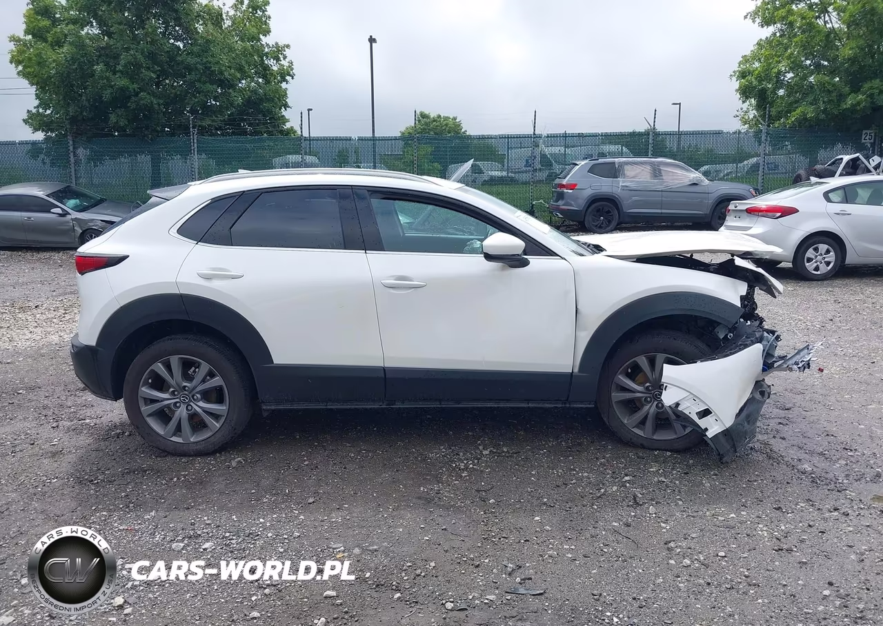 2025 Mazda Cx-30 2.5 S Premium Package VIN:3MVDMBDM3SM803270 - 13