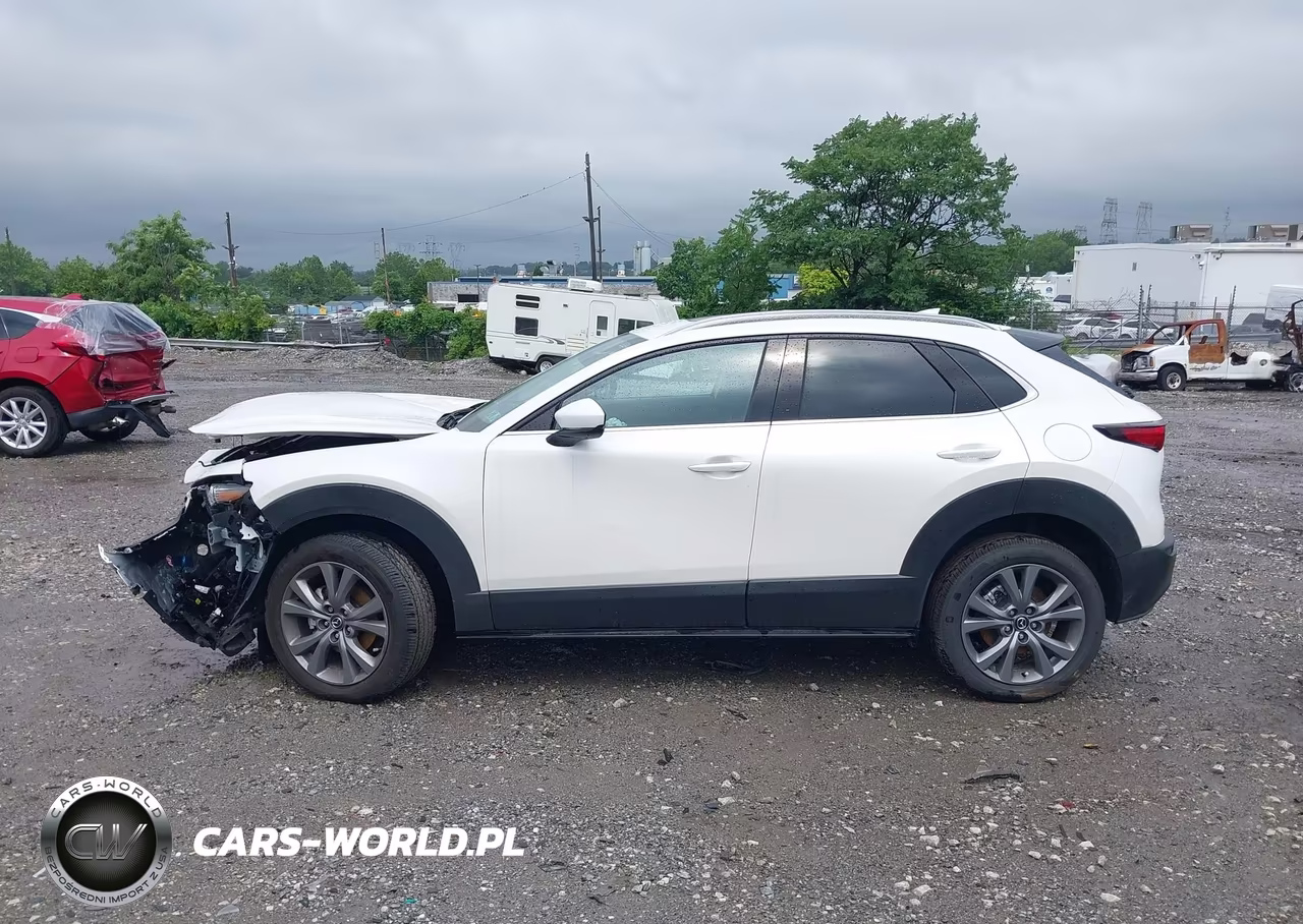 2025 Mazda Cx-30 2.5 S Premium Package VIN:3MVDMBDM3SM803270 - 14