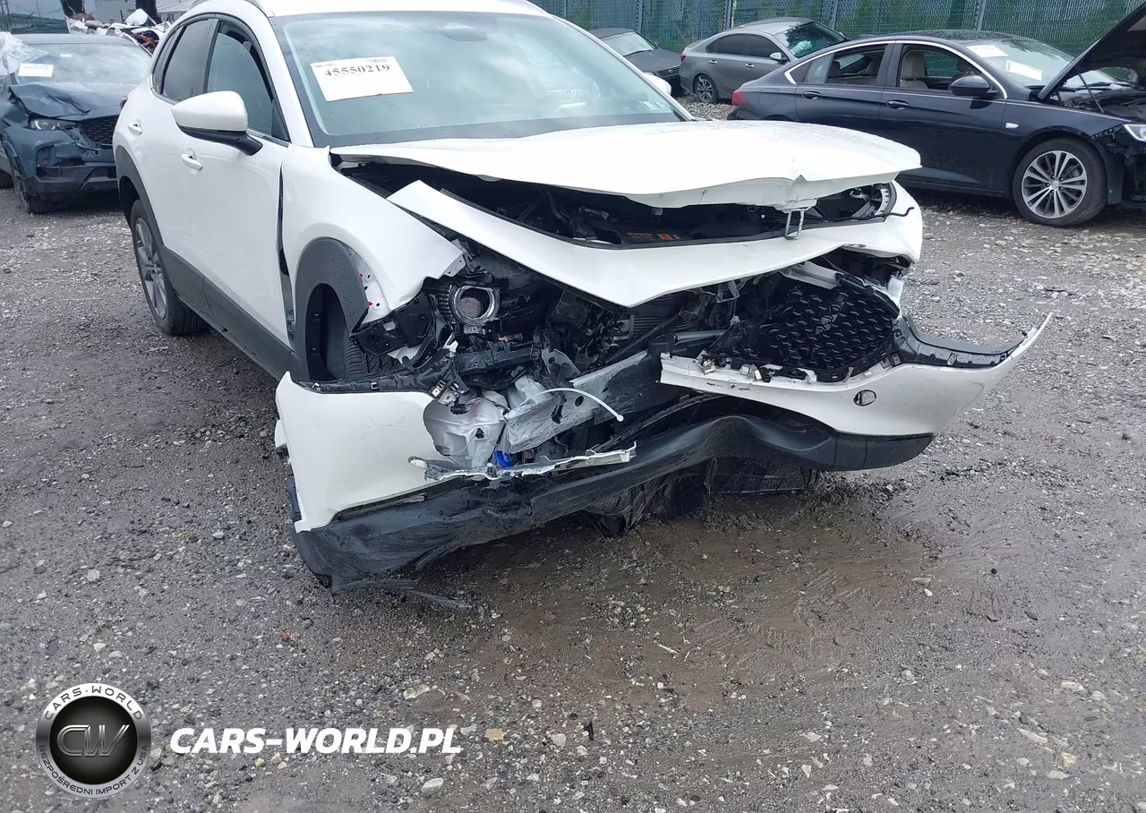 2025 Mazda Cx-30 2.5 S Premium Package VIN:3MVDMBDM3SM803270 - 17