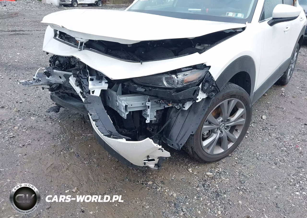 2025 Mazda Cx-30 2.5 S Premium Package VIN:3MVDMBDM3SM803270 - 18