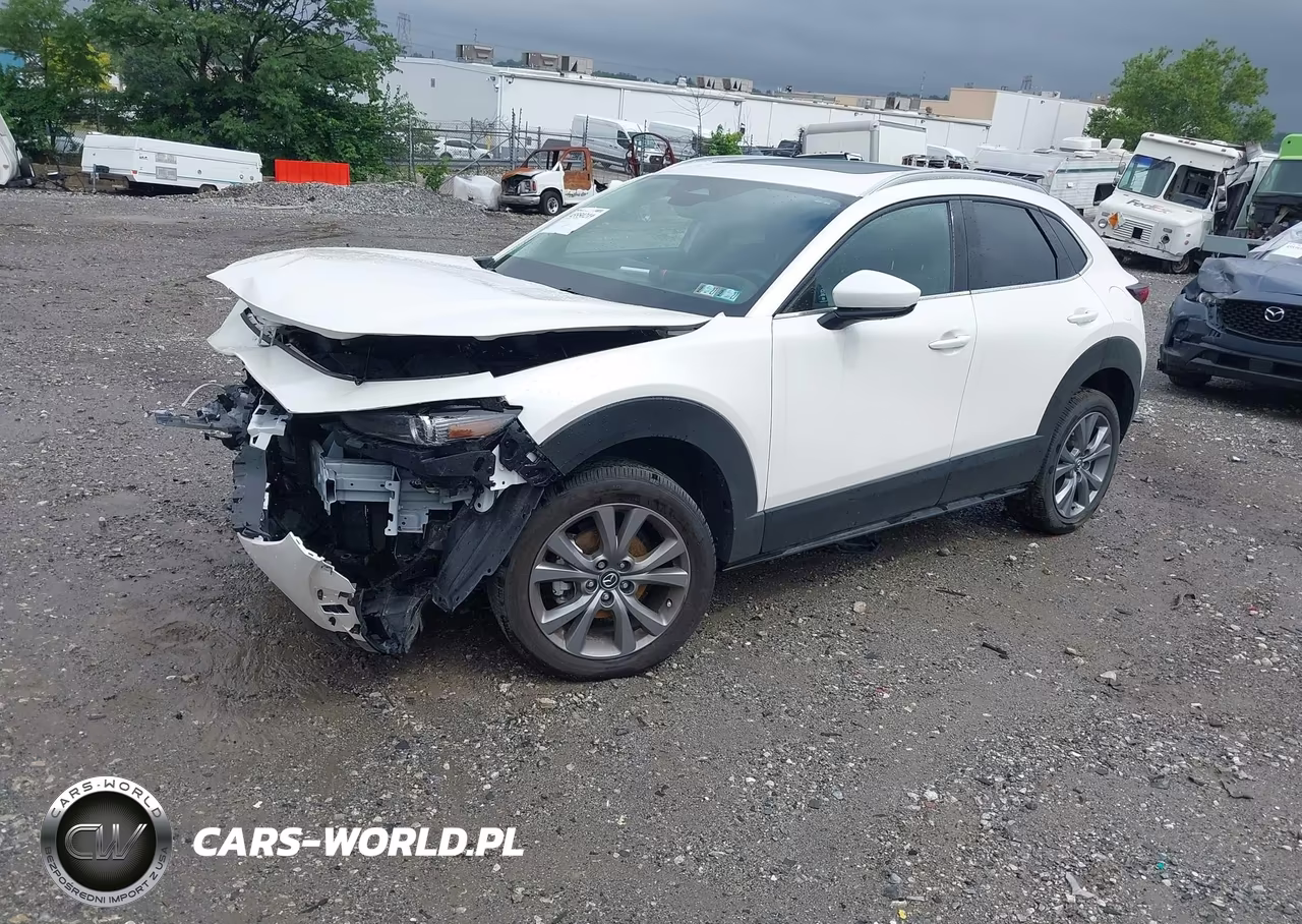 2025 Mazda Cx-30 2.5 S Premium Package VIN:3MVDMBDM3SM803270 - 2