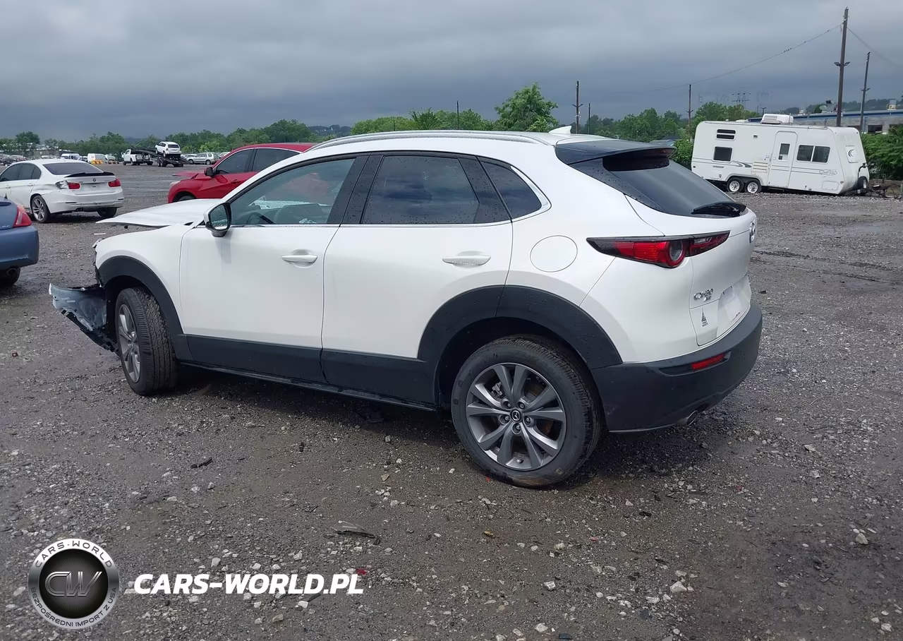 2025 Mazda Cx-30 2.5 S Premium Package VIN:3MVDMBDM3SM803270 - 3