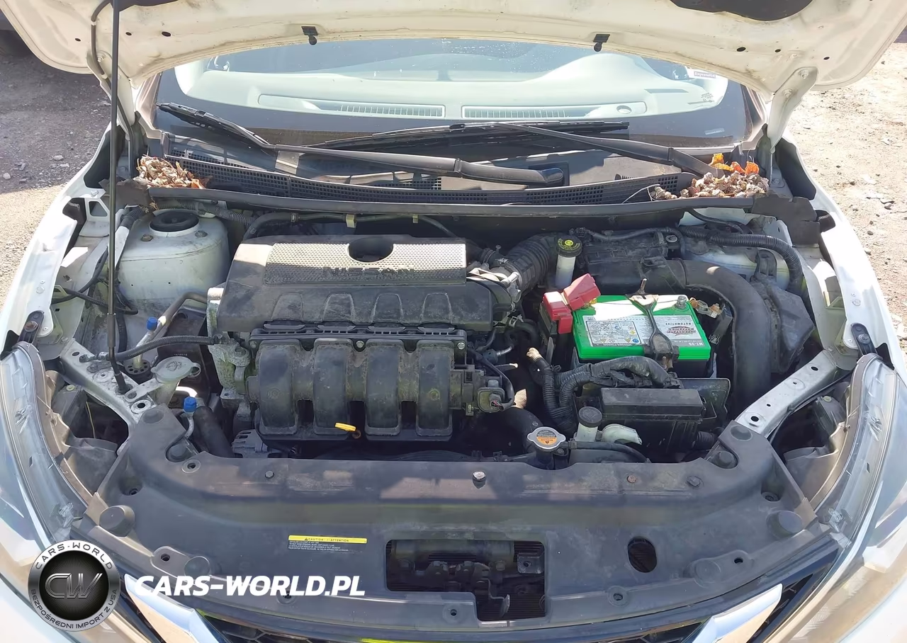 2016 Nissan Sentra Fe+ S-S-Sl-Sr-Sv VIN:3N1AB7AP9GL650979 - 10