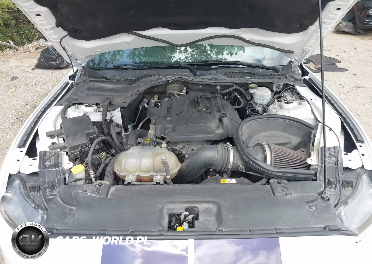 2016 Ford Mustang Ecoboost VIN:1FA6P8TH9G5332785 - 10