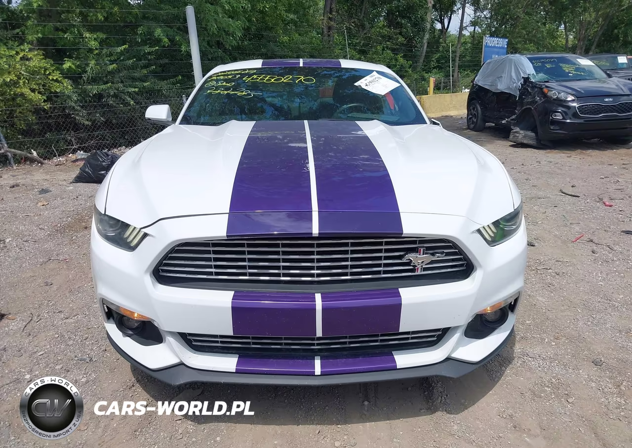 2016 Ford Mustang Ecoboost VIN:1FA6P8TH9G5332785 - 12