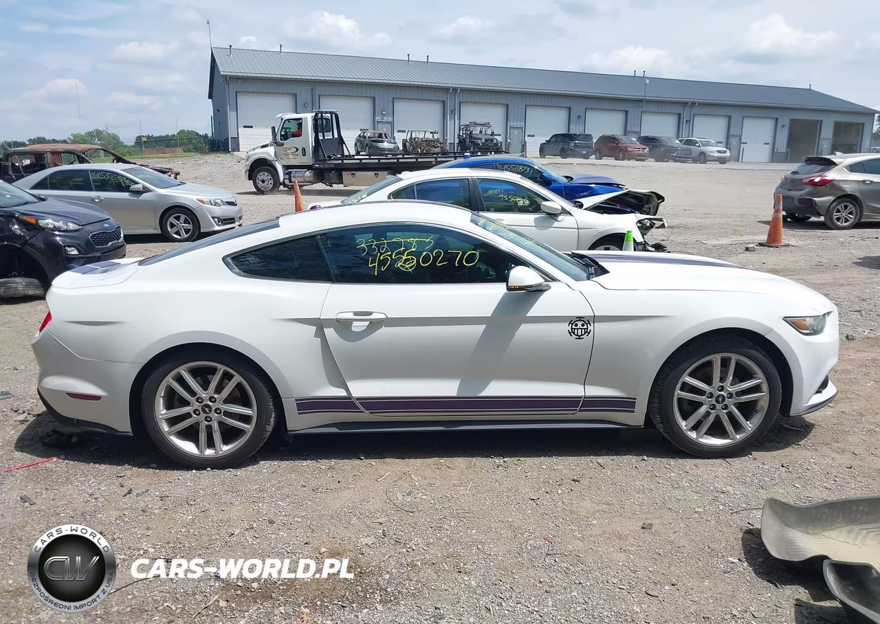2016 Ford Mustang Ecoboost VIN:1FA6P8TH9G5332785 - 13