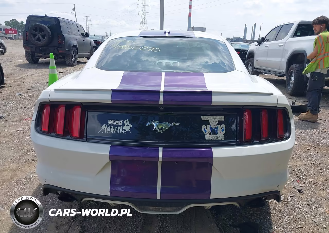 2016 Ford Mustang Ecoboost VIN:1FA6P8TH9G5332785 - 16