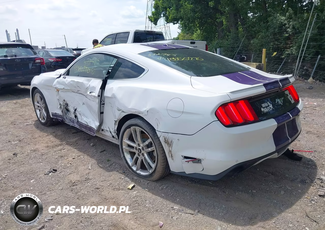 2016 Ford Mustang Ecoboost VIN:1FA6P8TH9G5332785 - 3
