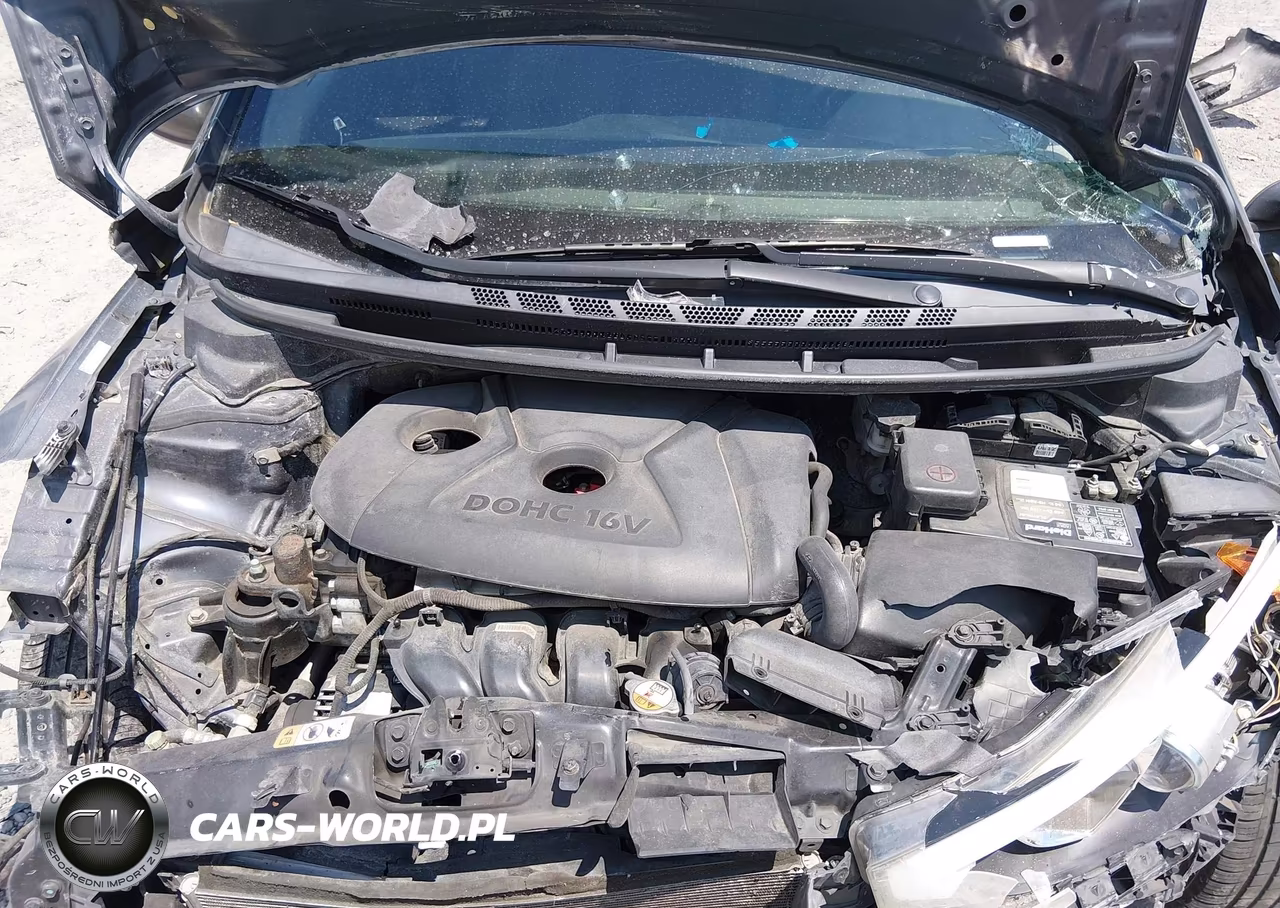 2016 Kia Forte Lx VIN:KNAFX4A63G5520798 - 10