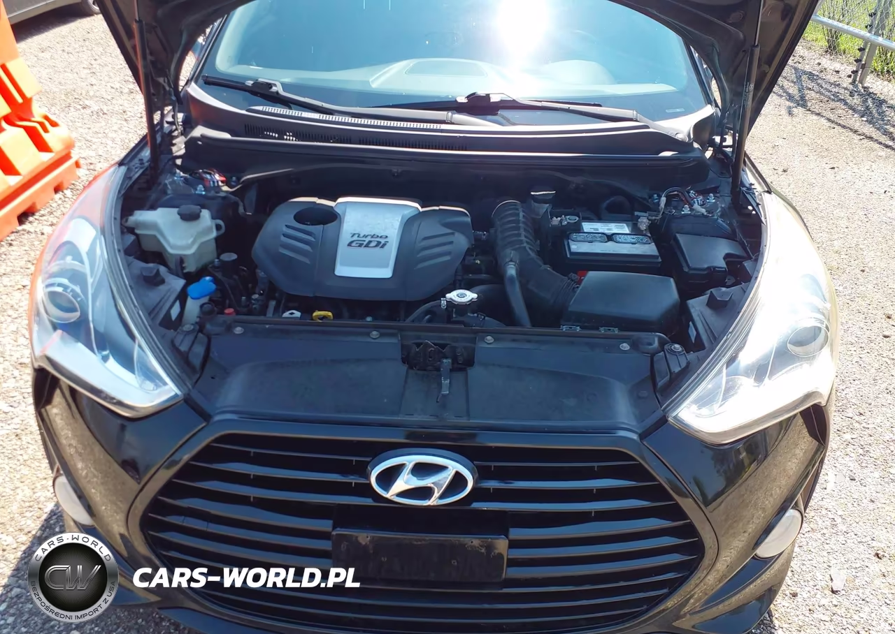 2013 Hyundai Veloster Turbo W-Black VIN:KMHTC6AE5DU147572 - 10