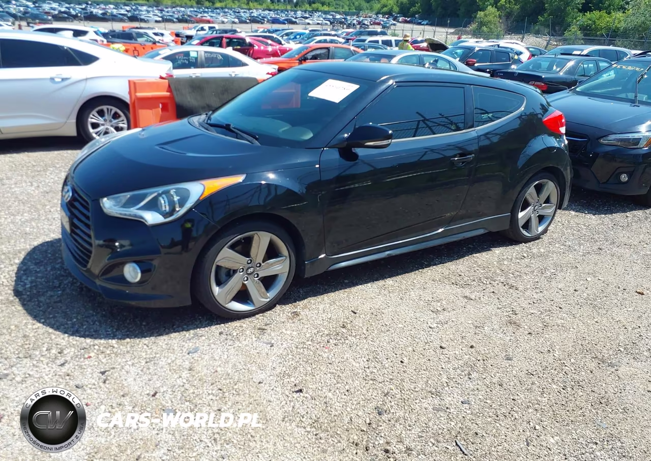 2013 Hyundai Veloster Turbo W-Black VIN:KMHTC6AE5DU147572 - 2