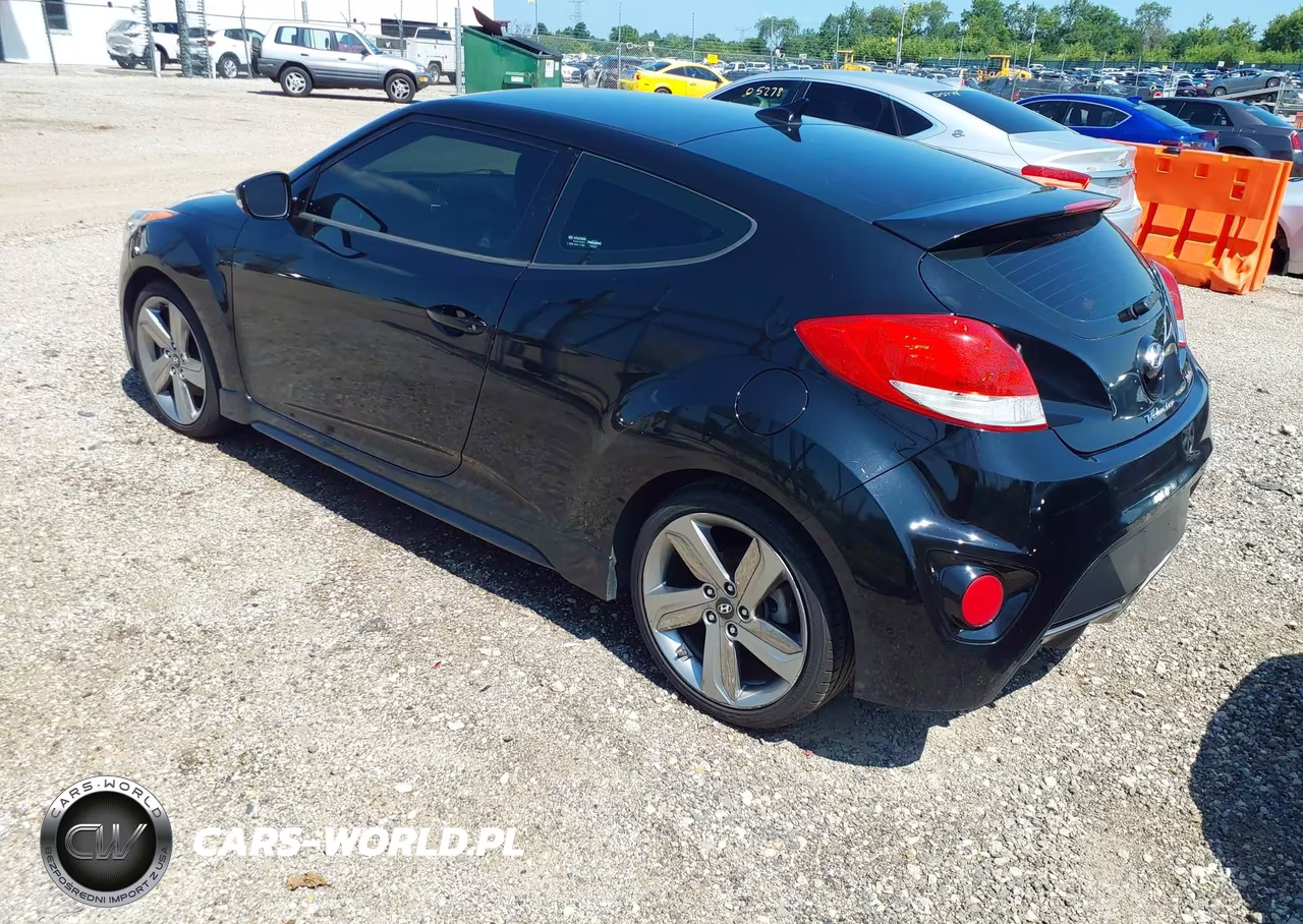2013 Hyundai Veloster Turbo W-Black VIN:KMHTC6AE5DU147572 - 3