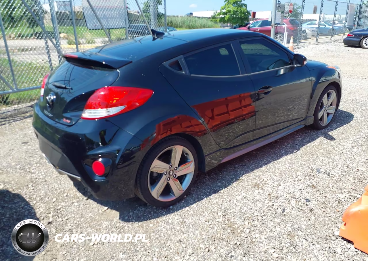 2013 Hyundai Veloster Turbo W-Black VIN:KMHTC6AE5DU147572 - 4