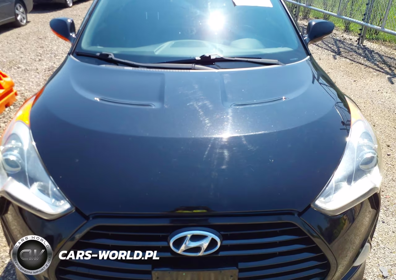 2013 Hyundai Veloster Turbo W-Black VIN:KMHTC6AE5DU147572 - 6