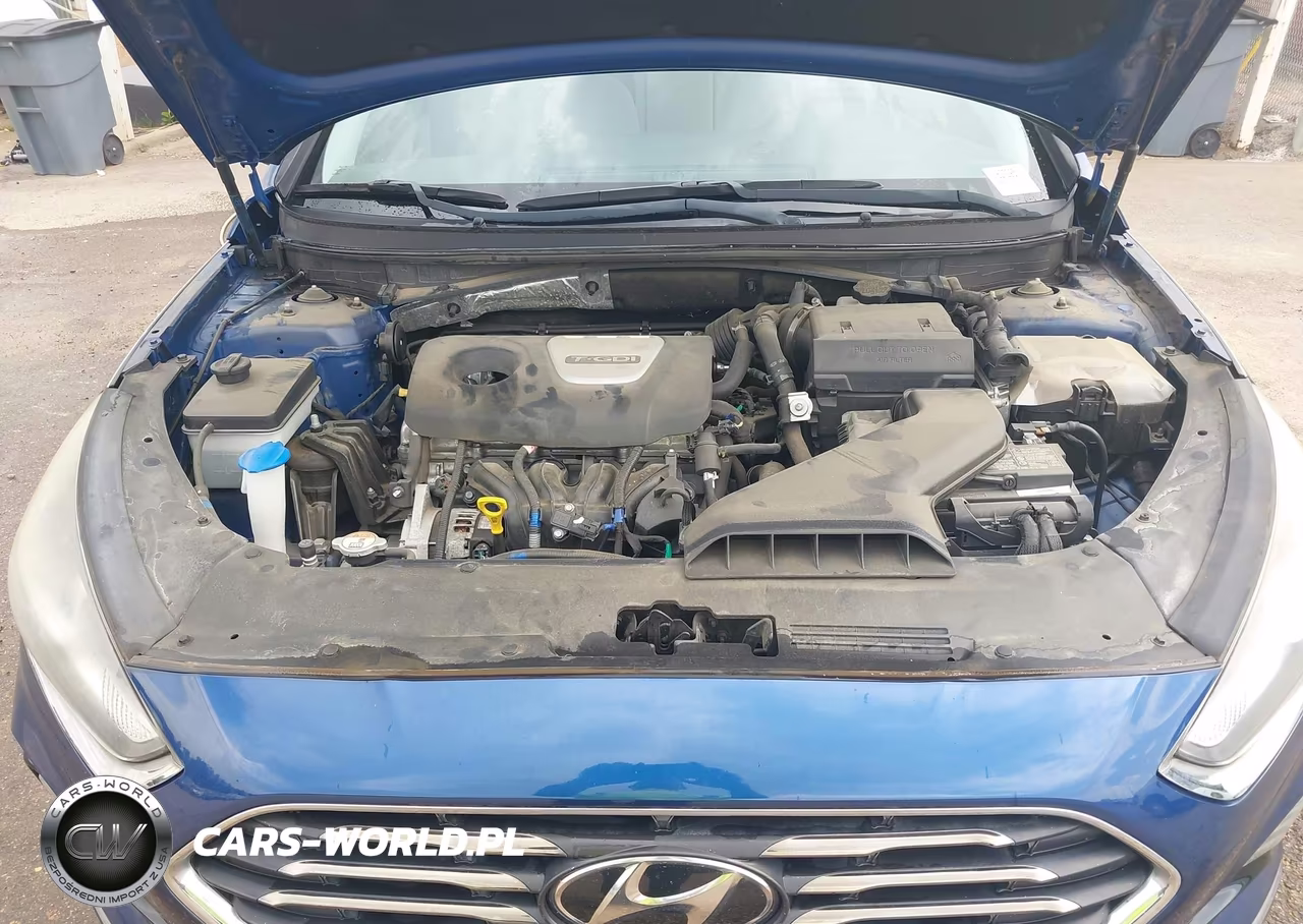 2019 Hyundai Sonata Eco VIN:5NPE24AA5KH774278 - 10