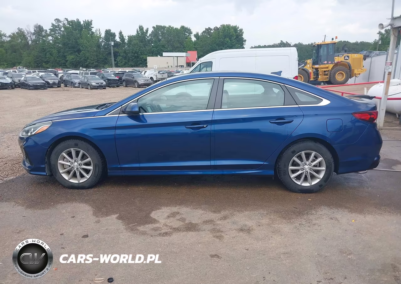 2019 Hyundai Sonata Eco VIN:5NPE24AA5KH774278 - 17