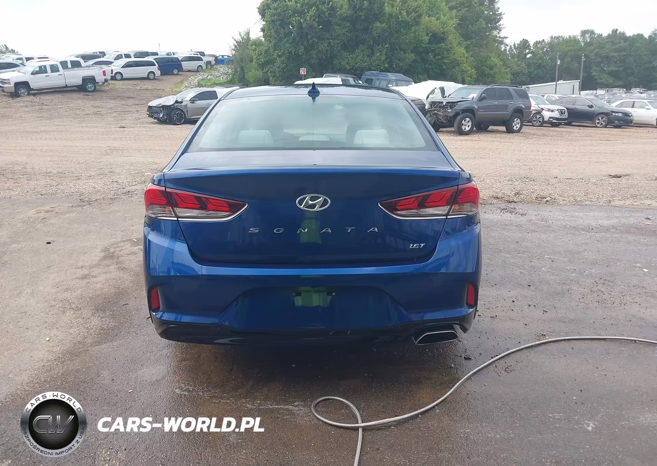 2019 Hyundai Sonata Eco VIN:5NPE24AA5KH774278 - 19