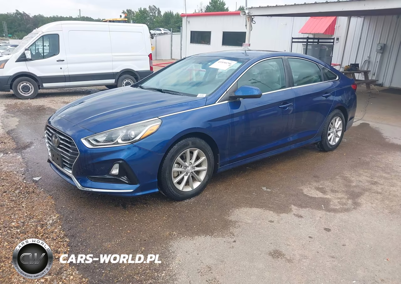 2019 Hyundai Sonata Eco VIN:5NPE24AA5KH774278 - 2