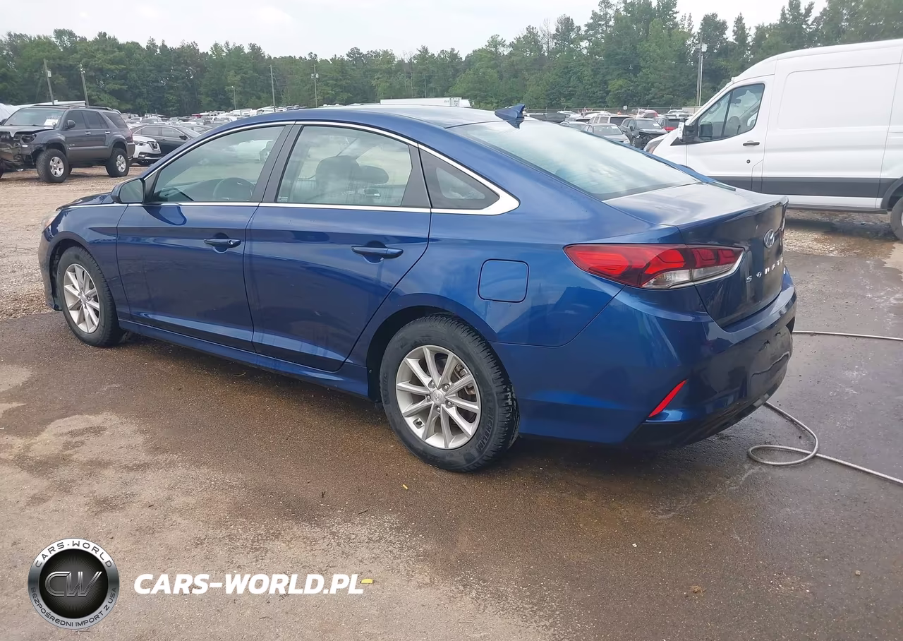 2019 Hyundai Sonata Eco VIN:5NPE24AA5KH774278 - 3