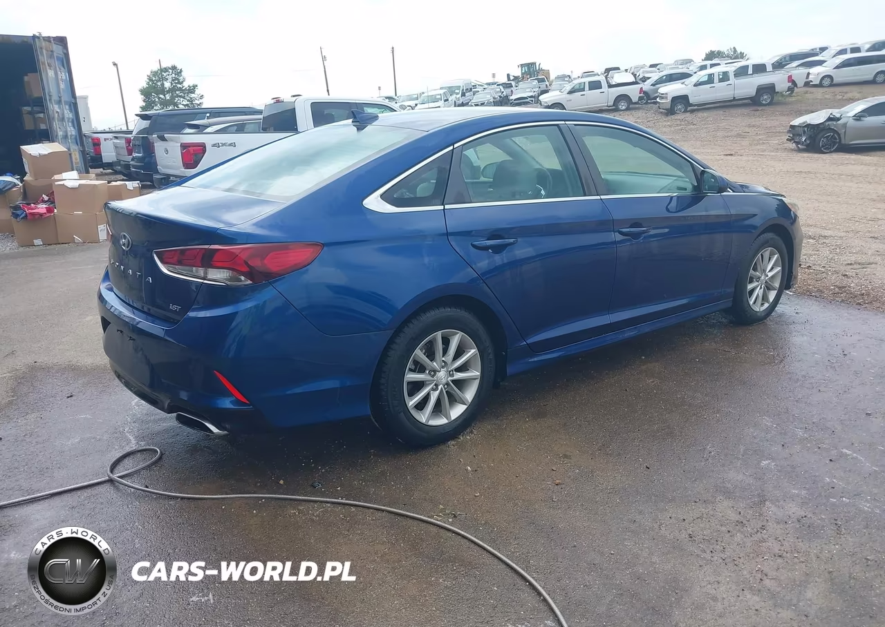2019 Hyundai Sonata Eco VIN:5NPE24AA5KH774278 - 4