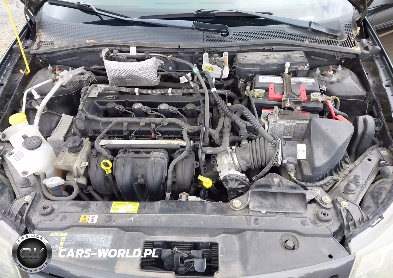 2010 Ford Focus Ses VIN:1FAHP3GNXAW165060 - 10