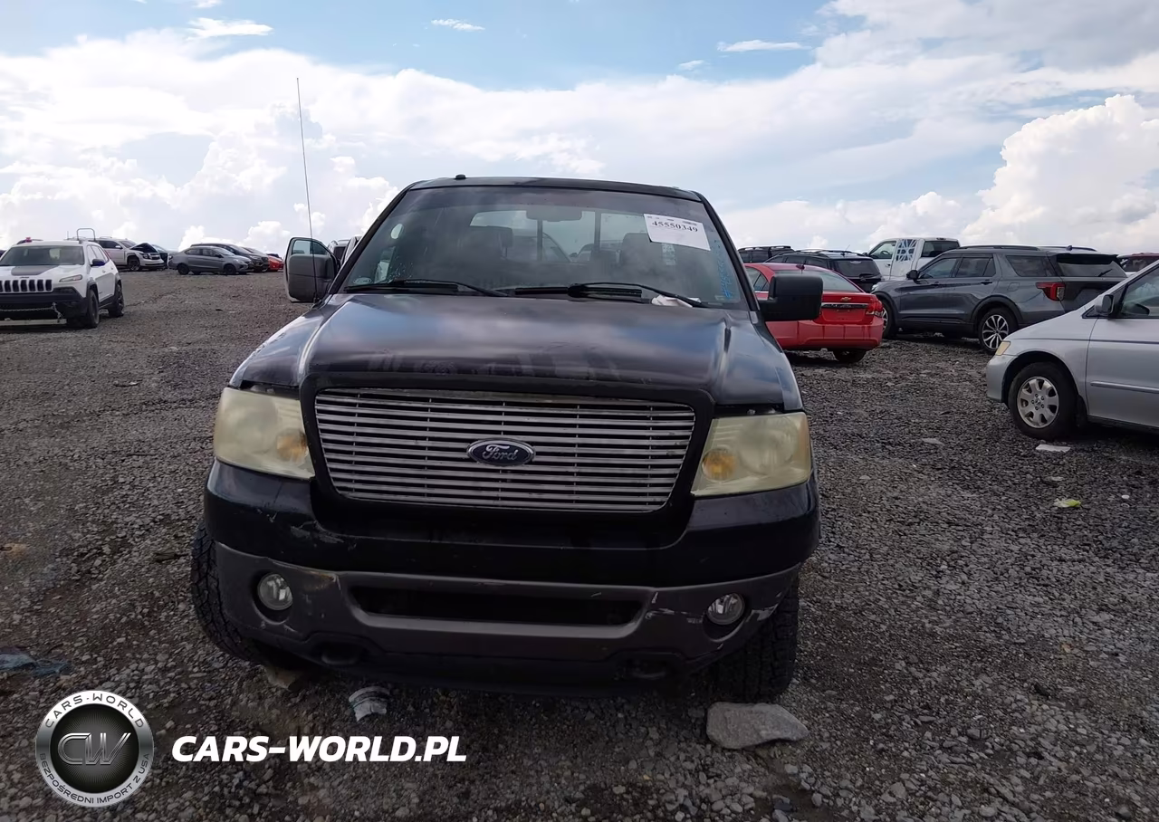 2006 Ford F-150 Fx4-Lariat-Xlt VIN:1FTPW14V76KC45769 - 12