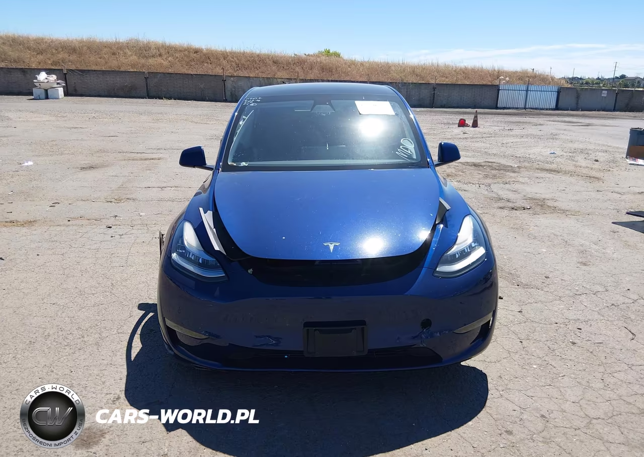 2022 Tesla Model Y Long Range Dual Motor All-Wheel Drive VIN:7SAYGAEE1NF382298 - 12