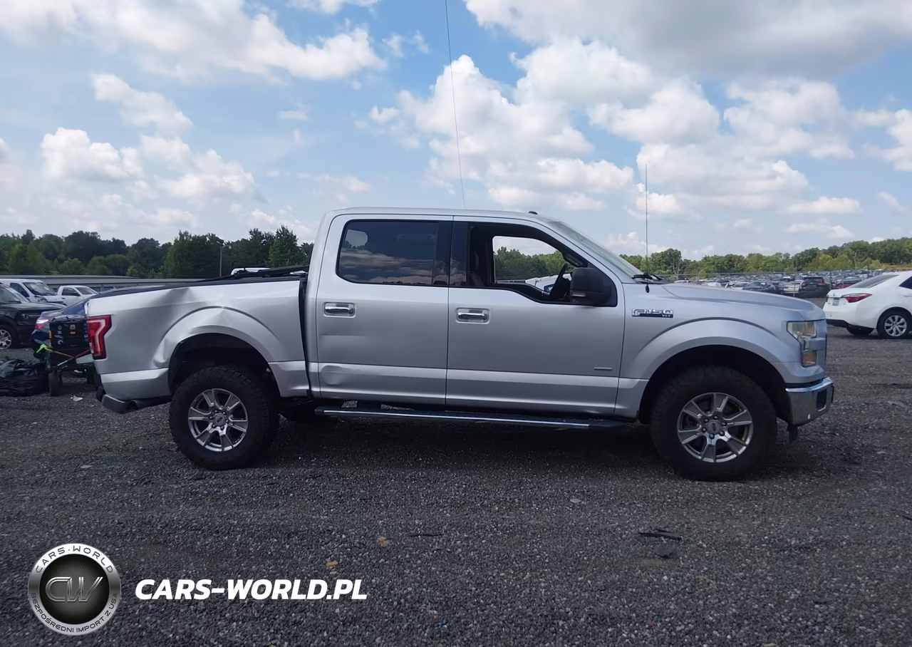 2015 Ford F-150 King Ranch-Lariat-Platinum-Xl-Xlt VIN:1FTEW1CG5FFD01498 - 13