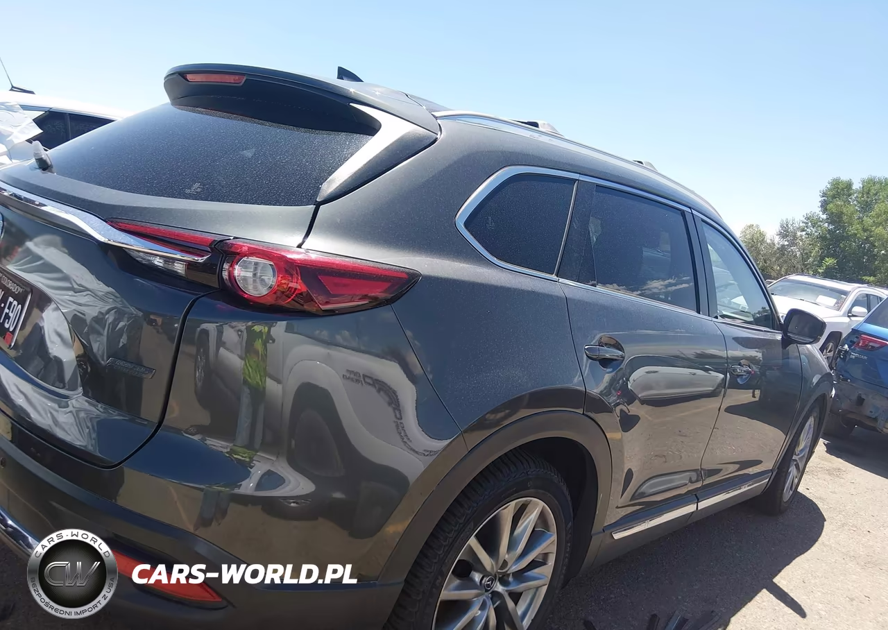 2017 Mazda Cx-9 Signature VIN:JM3TCBEY8H0141691 - 13