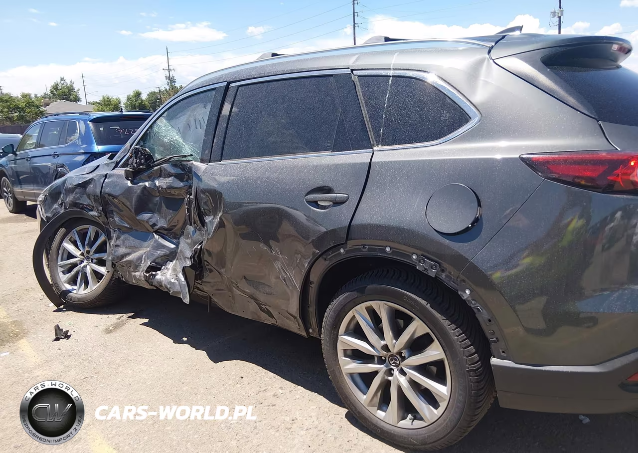 2017 Mazda Cx-9 Signature VIN:JM3TCBEY8H0141691 - 6